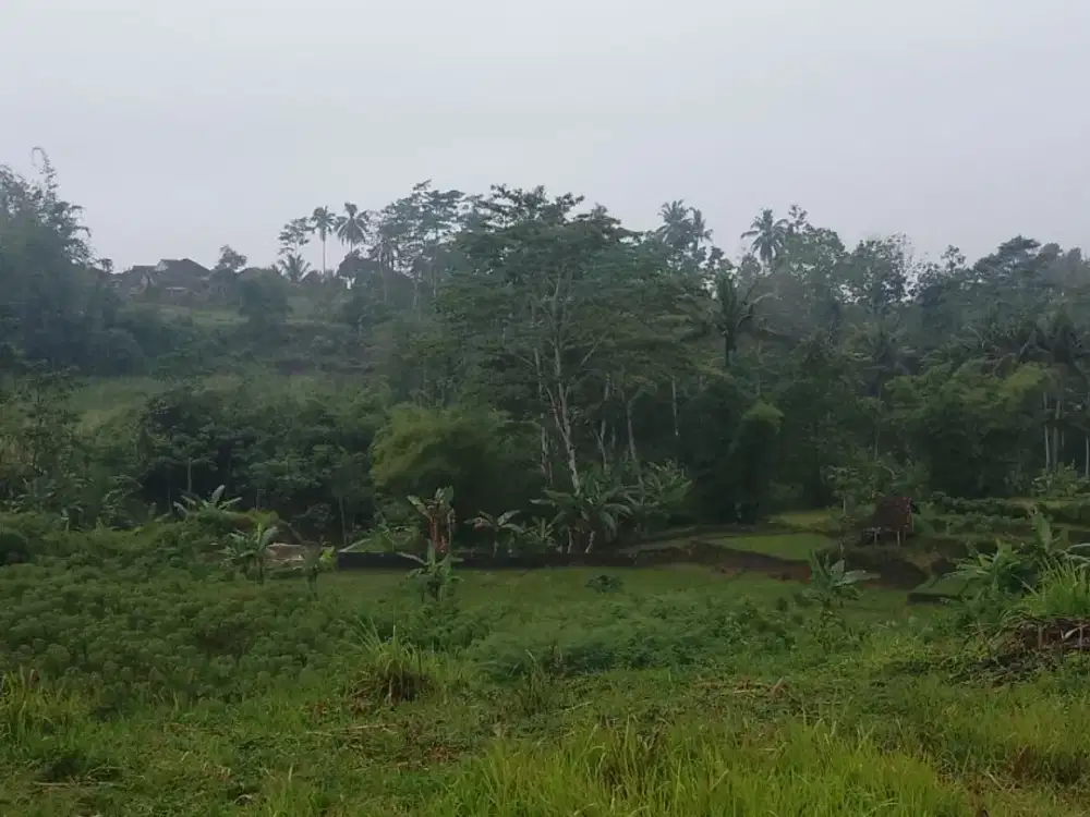 Tanah termurah malang kota untuk kandang ayam atau investasi