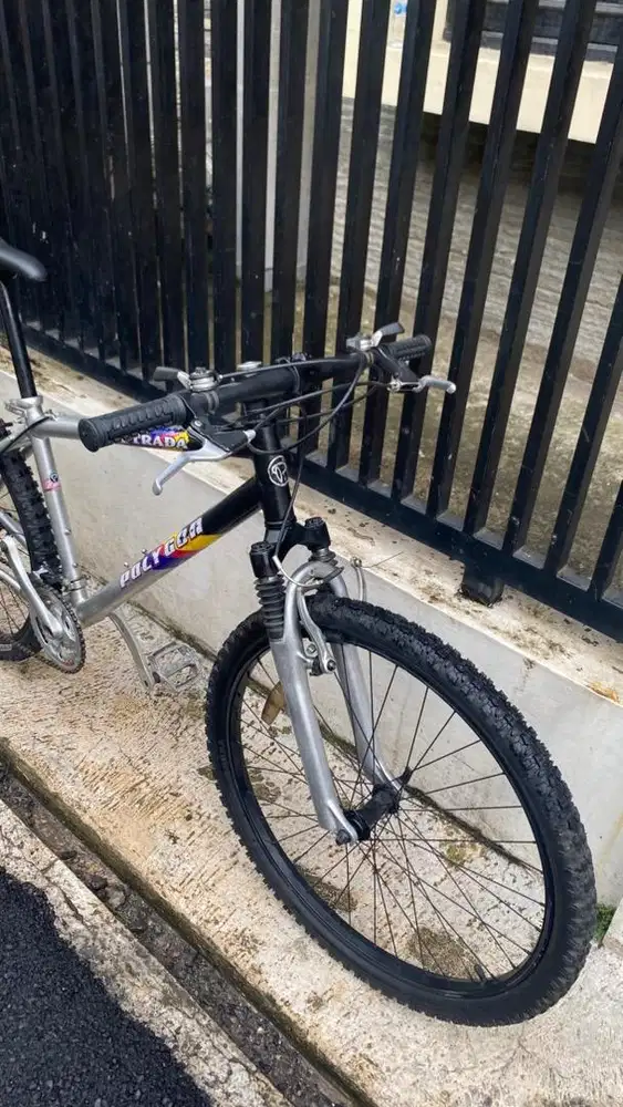 MTB POLYGON XTRADA 1