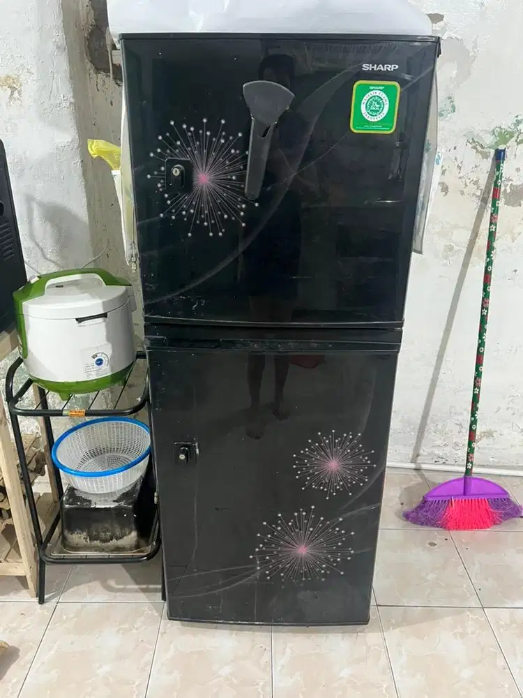Kulkas sharp 2 pintu