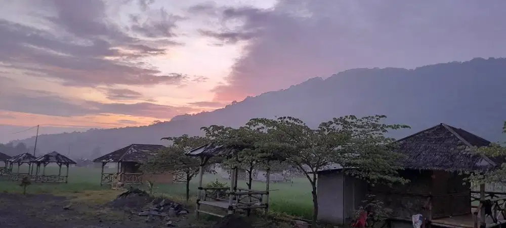 Dijual Sawah Produktif di Jonggol Bogor