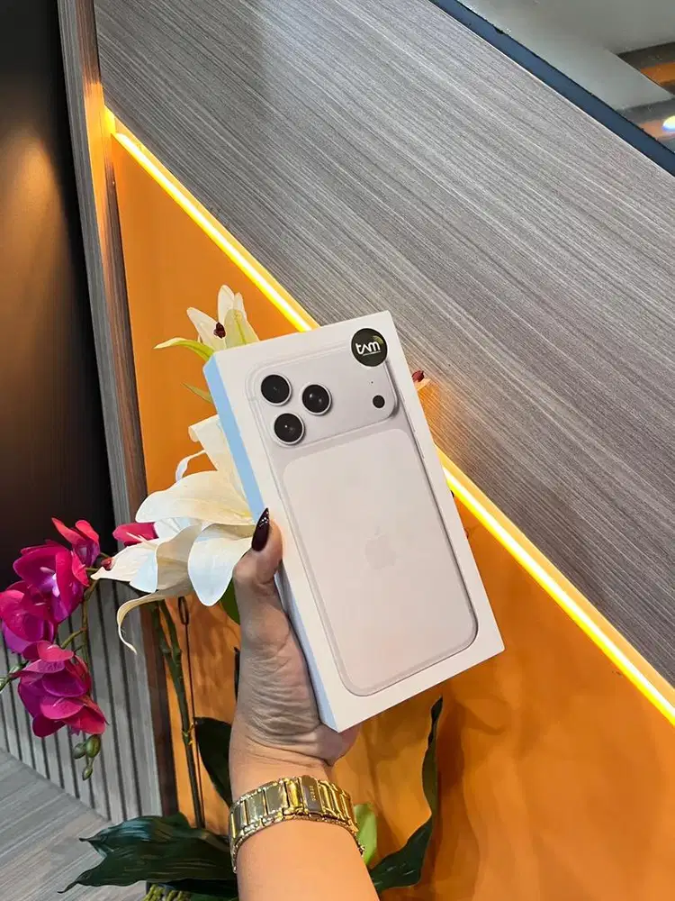 iphone 17 promax silver