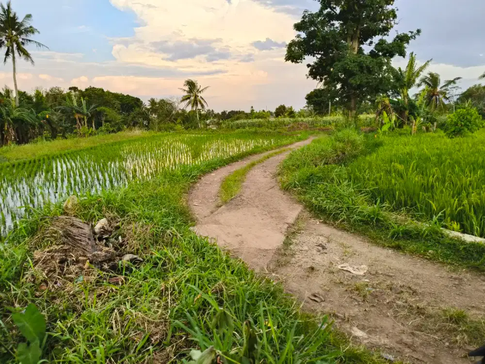 Lahan Kosong Masuk Mobil