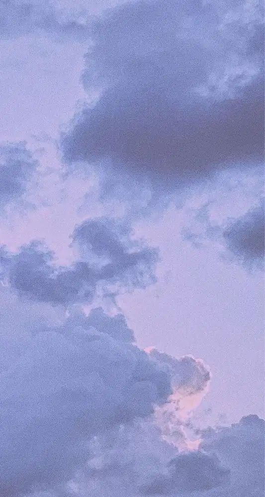 Translator Mandarin Long Term/Short Term