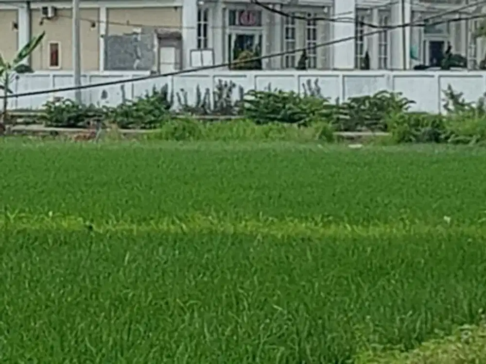 Dijual Tanah Di Babat – Lamongan (menghadap jalan Raya)