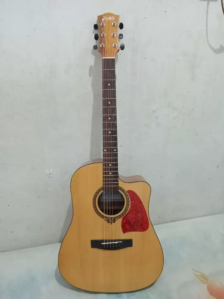 Gitar Dluxe DW 110