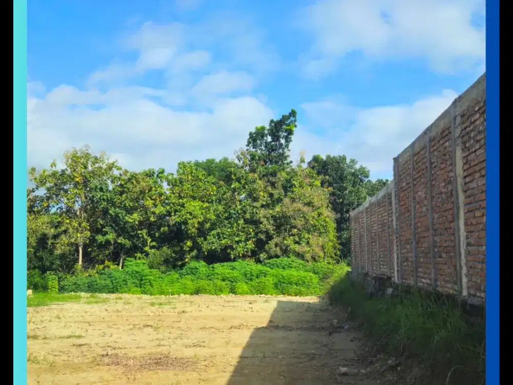 Tanah Murah Gamping Jogja Luas 770 M2 Siap AJB Notaris SHMP