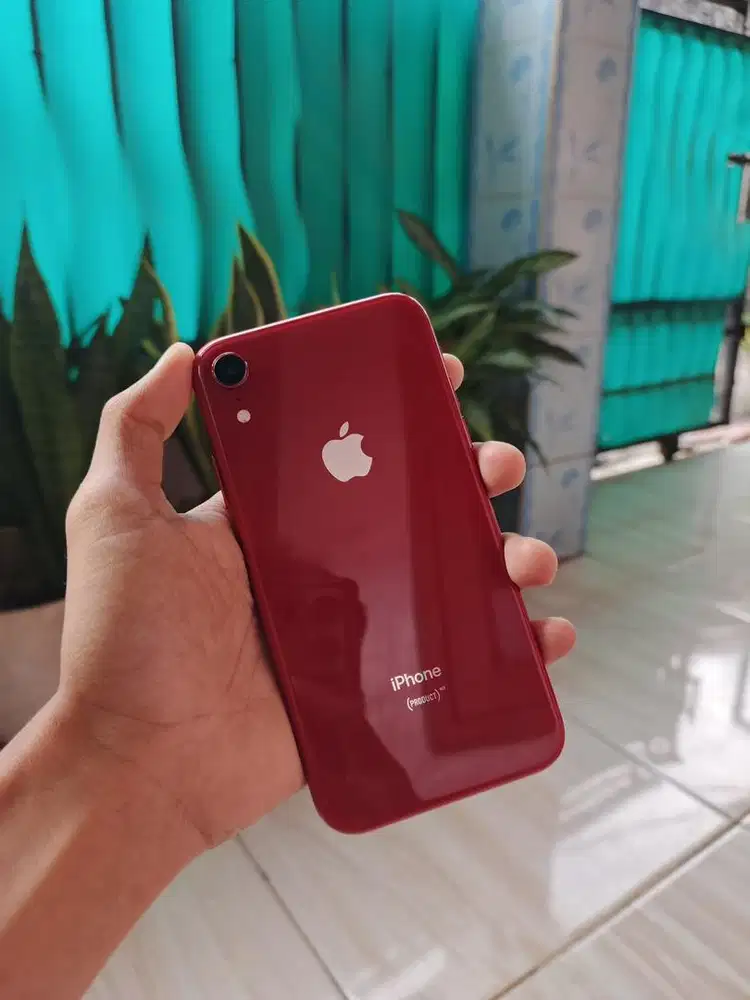 iphone xr 64gb inter