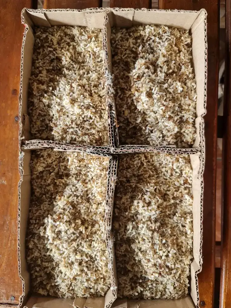 Kroto Super Fresh Kalimantan