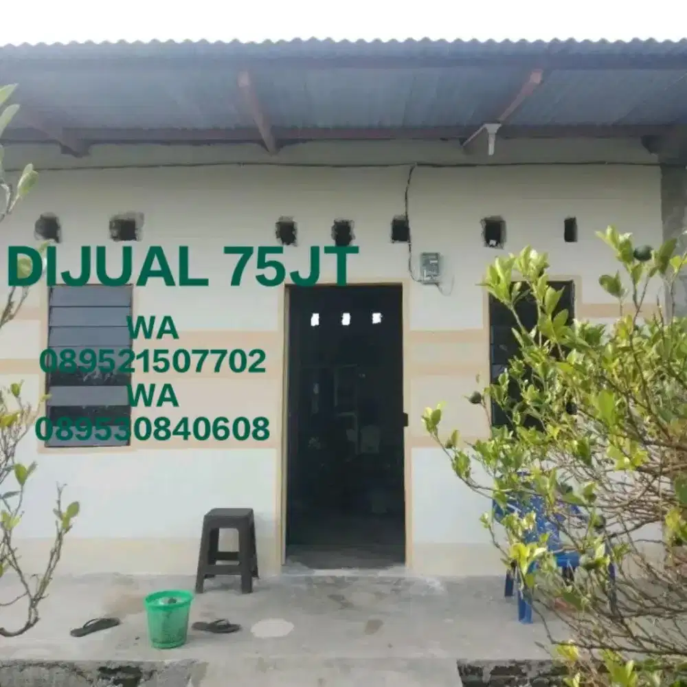 Rumah pribadi bebas banjir