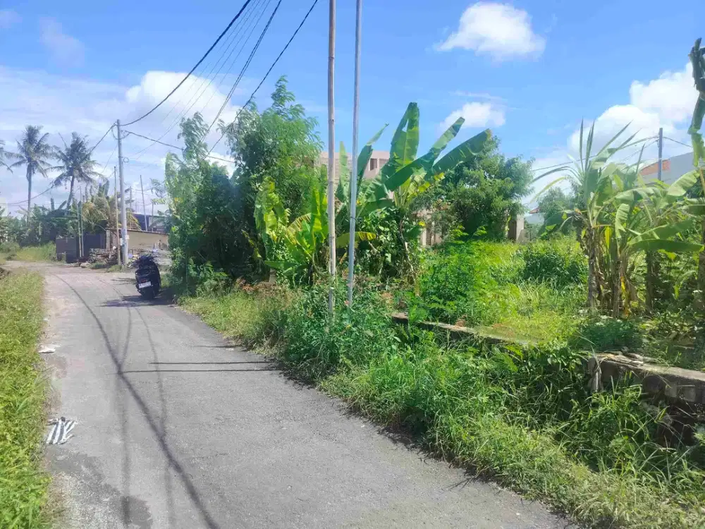 jual tanah murah lokasi di munggu badung