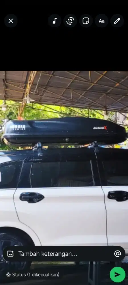 Thule roof box merk whale carier