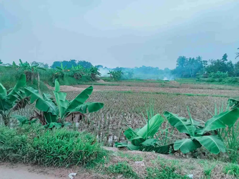Dijual tanah daratan dan sawah di daerah Cisoka deket ke perumahan Podomoro dan Kampung Kerupuk