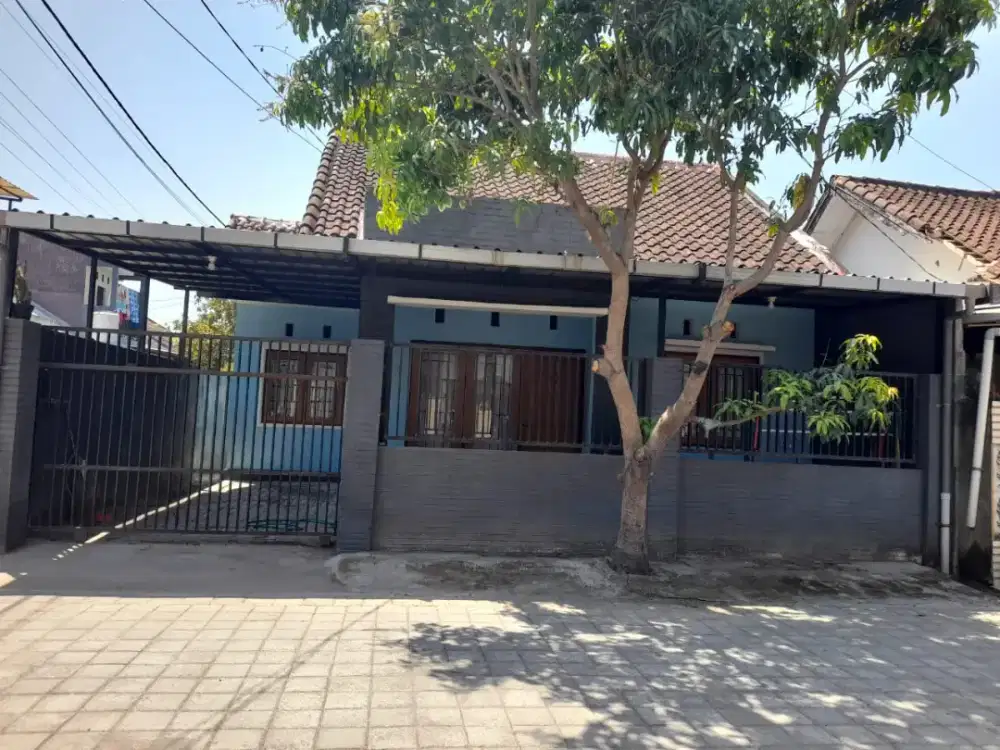 Disewakan/dikontrakan Rumah per tahun