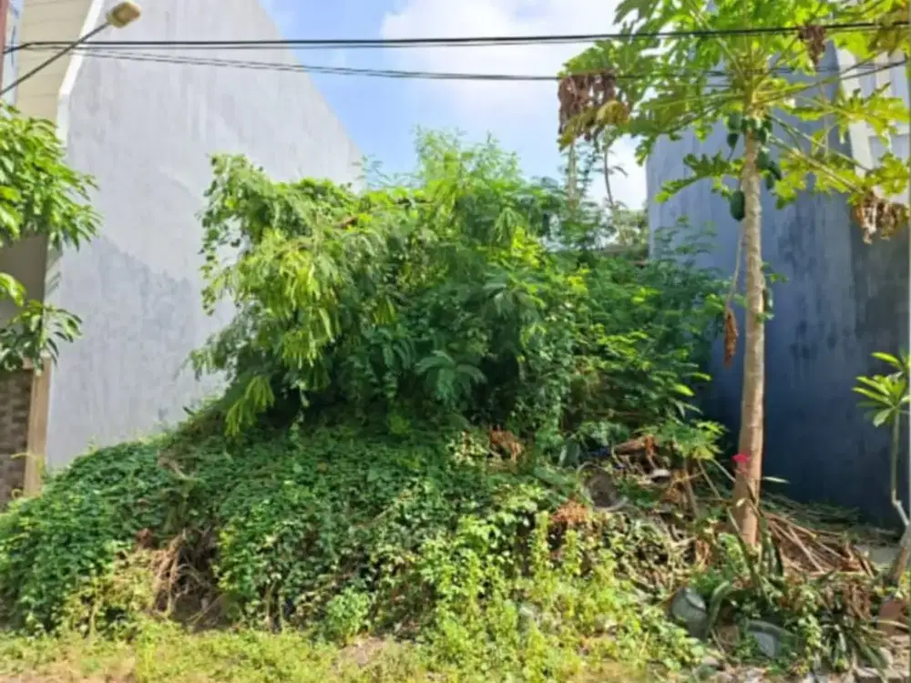 Tanah Koala Regency dkt Araya Klampis Manyar Kertajaya Baruk Pakuwon Mulyosari