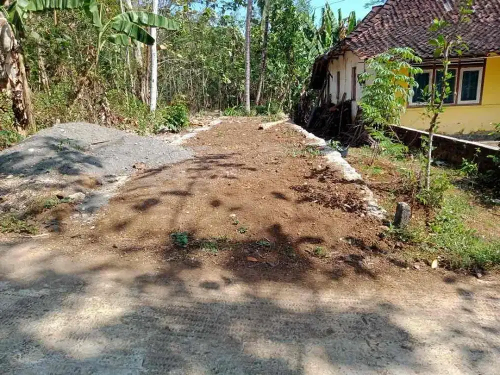 Dijual Tanah Luas Harga Murah Investasi Emas Area Kulonprogo