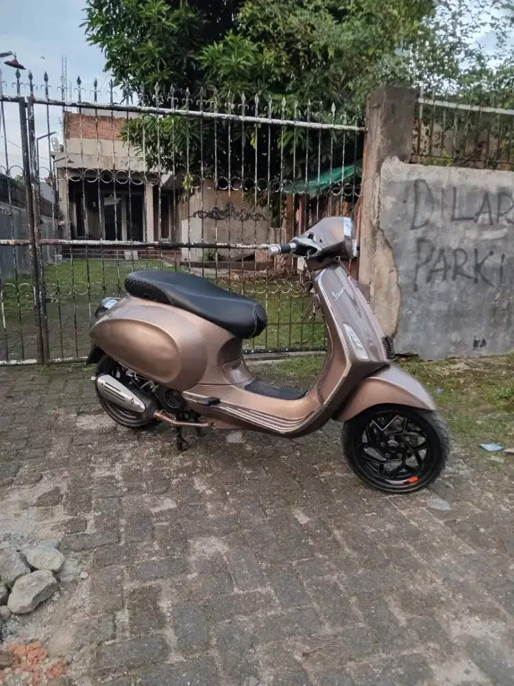 Vespa primavera 3v