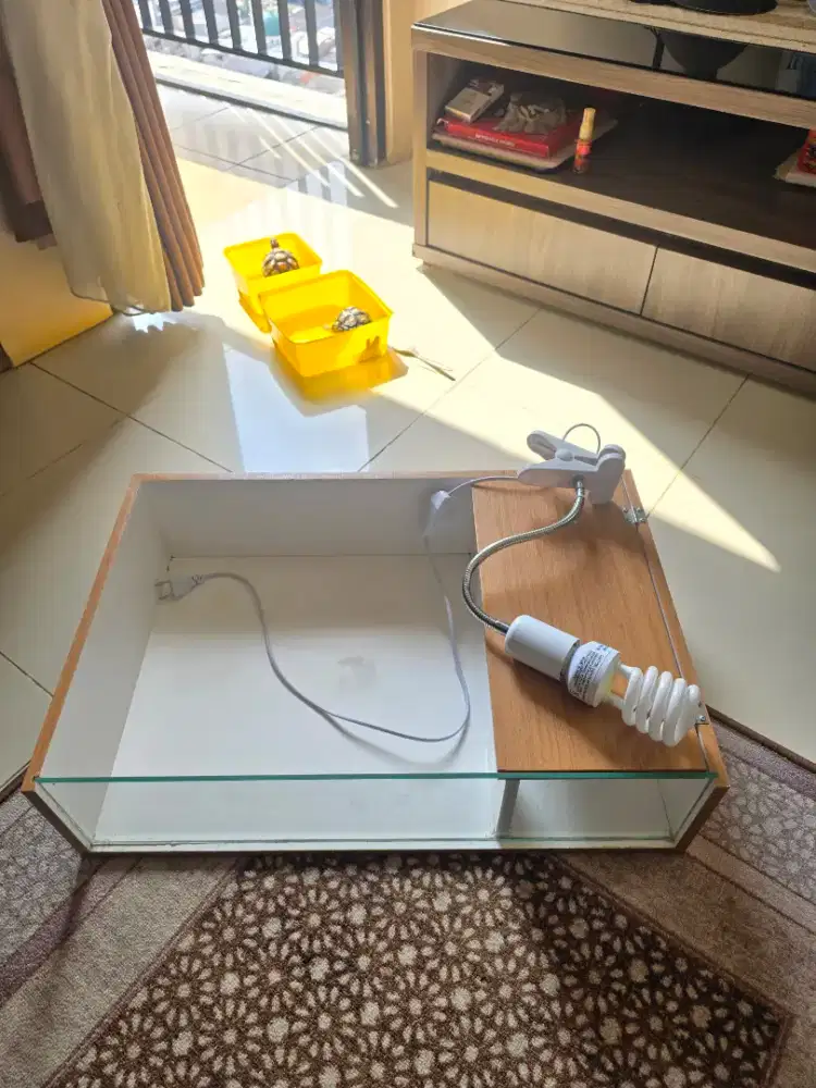 DIJUAL KANDANG TORTOISE DLL 25OK LAMPU SETTING