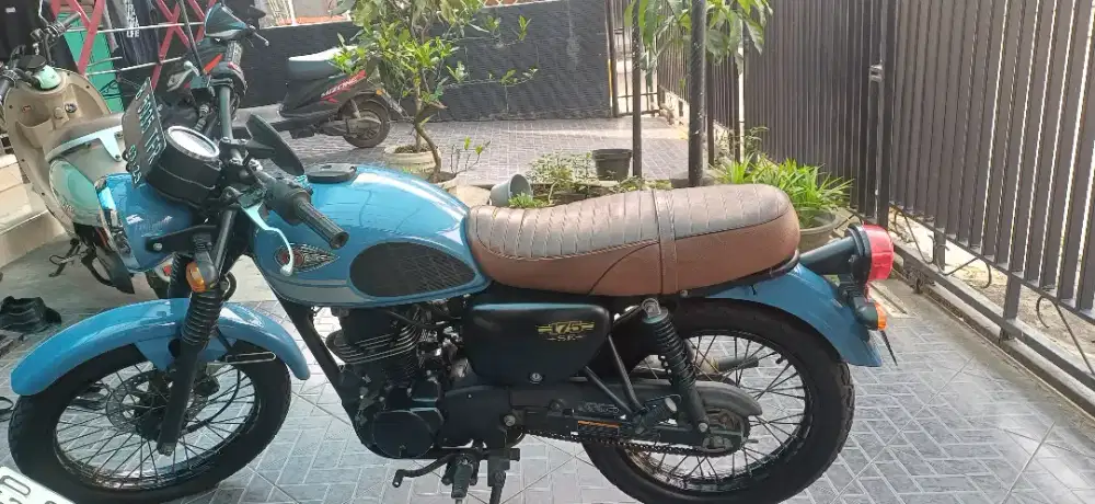 Kawasaki W 175 SE 2019 Rare Blue