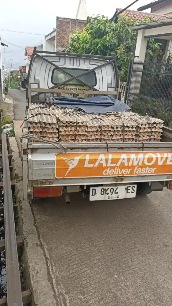 TELUR OMEGA DAN BIASA