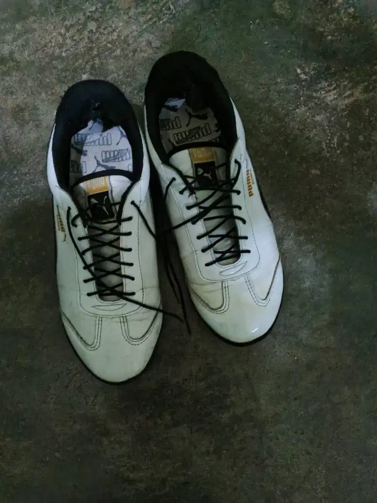di jual sepatu puma