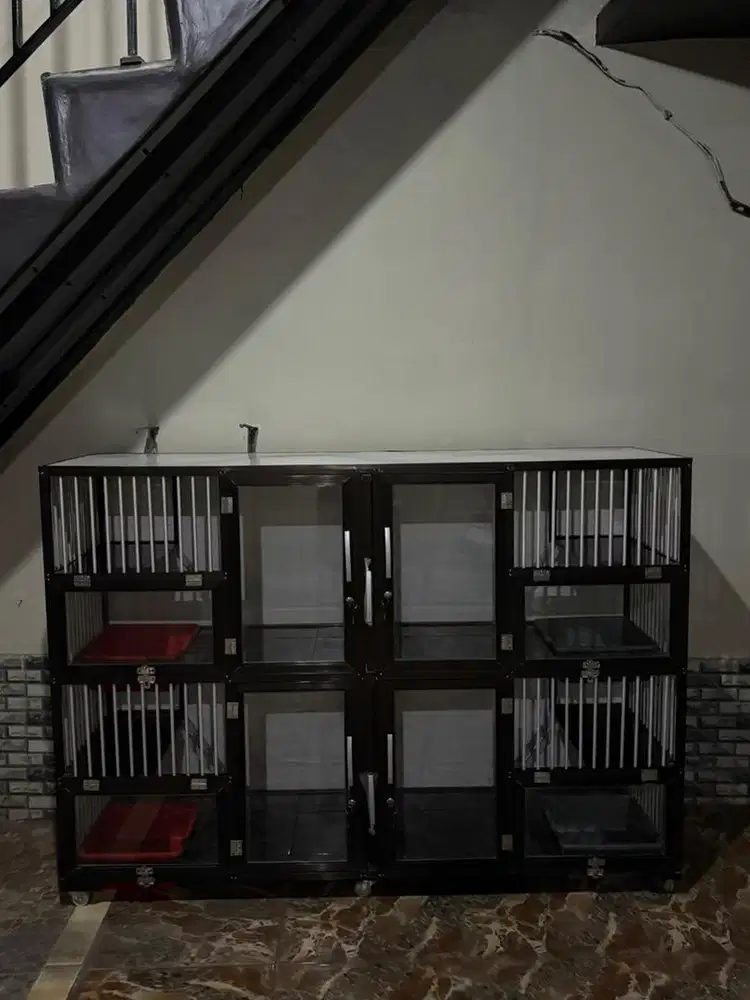 Kandang kucing baru 2bulan pakai