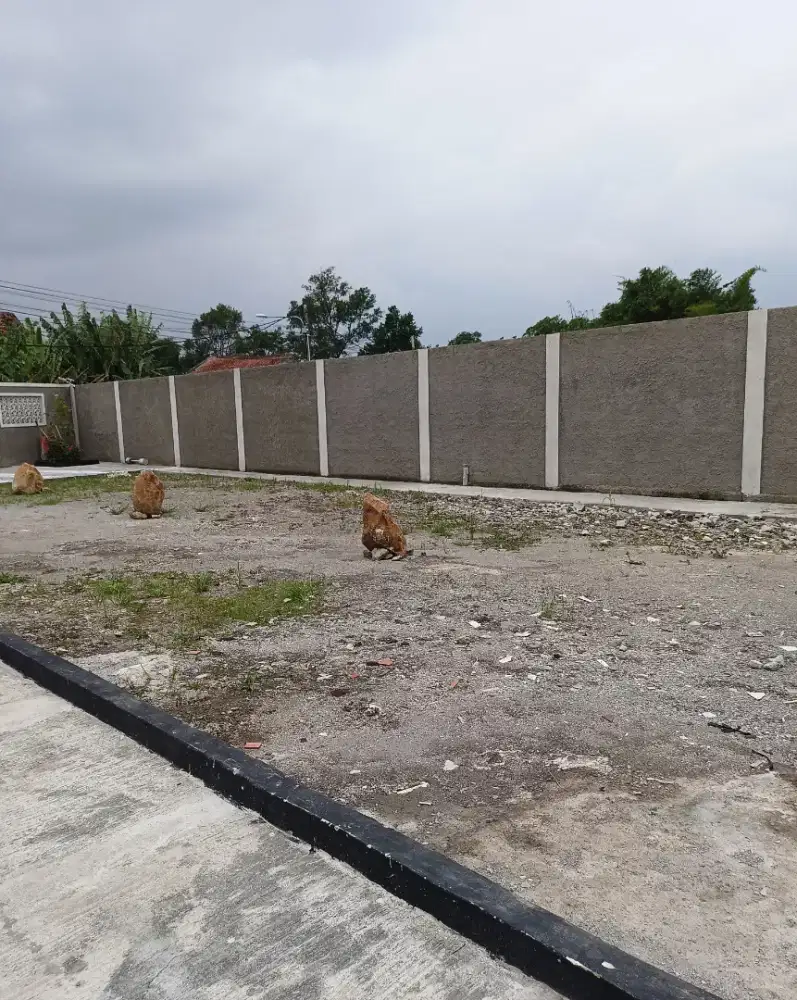 Dijual tanah cantik SDH di pagar dan tidak pernah banjir aman sejuk