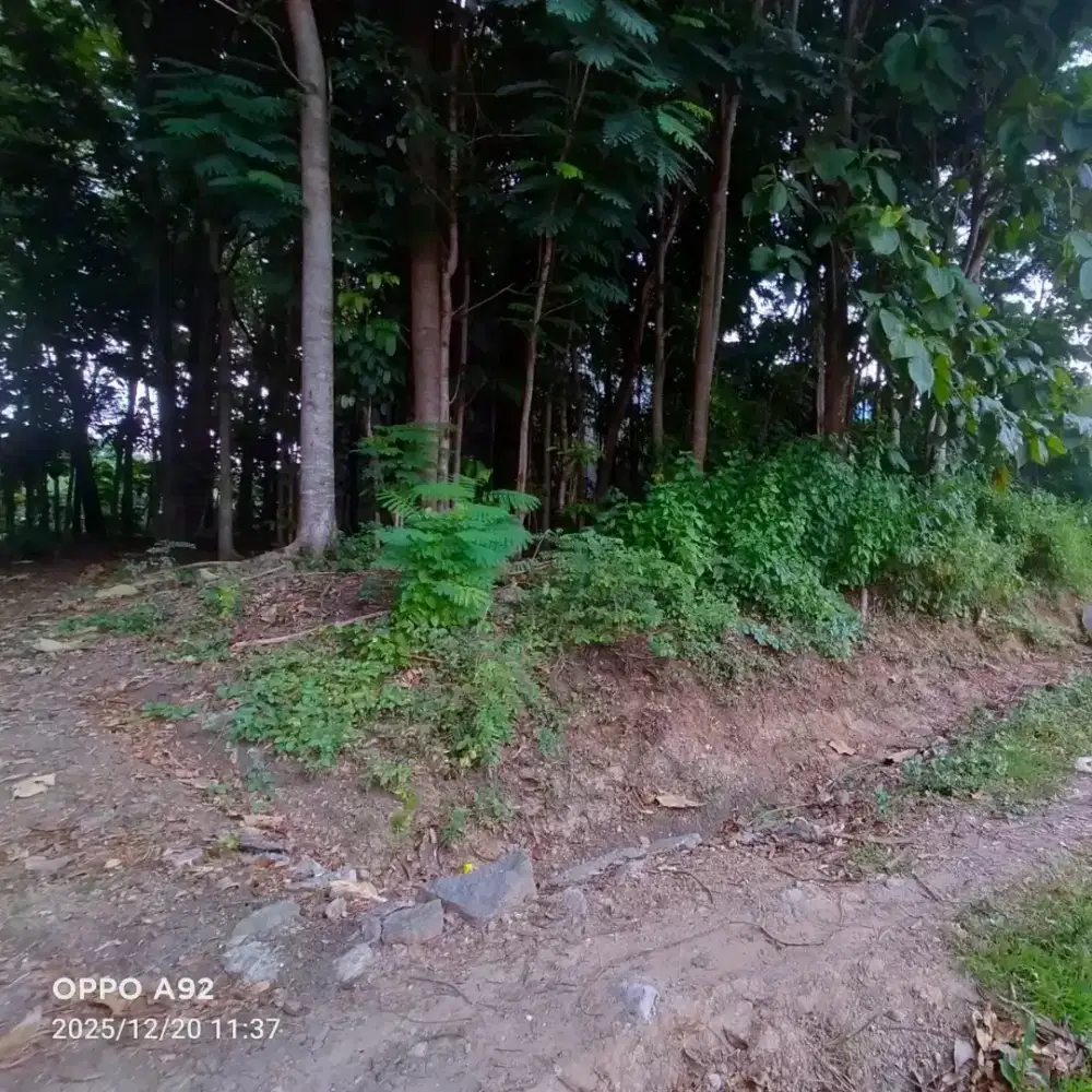 Tanah Murah  siap bangun Plesungan utara Mojosongo Solo