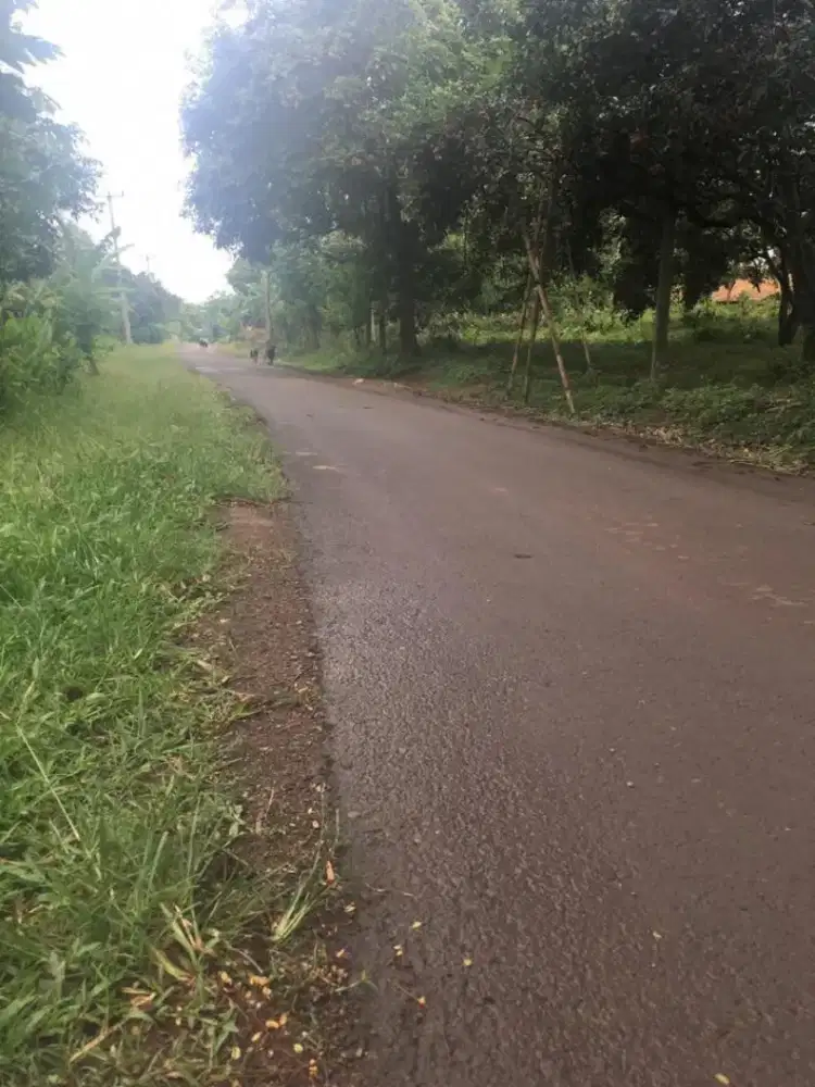 Dijual tanah di jalan Cibukamanah Cibatu Purwakarta