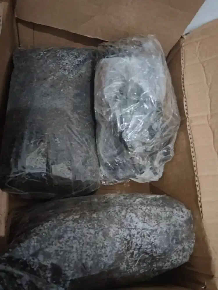 MEDIA TANAM 6 Kg FREE ARANG