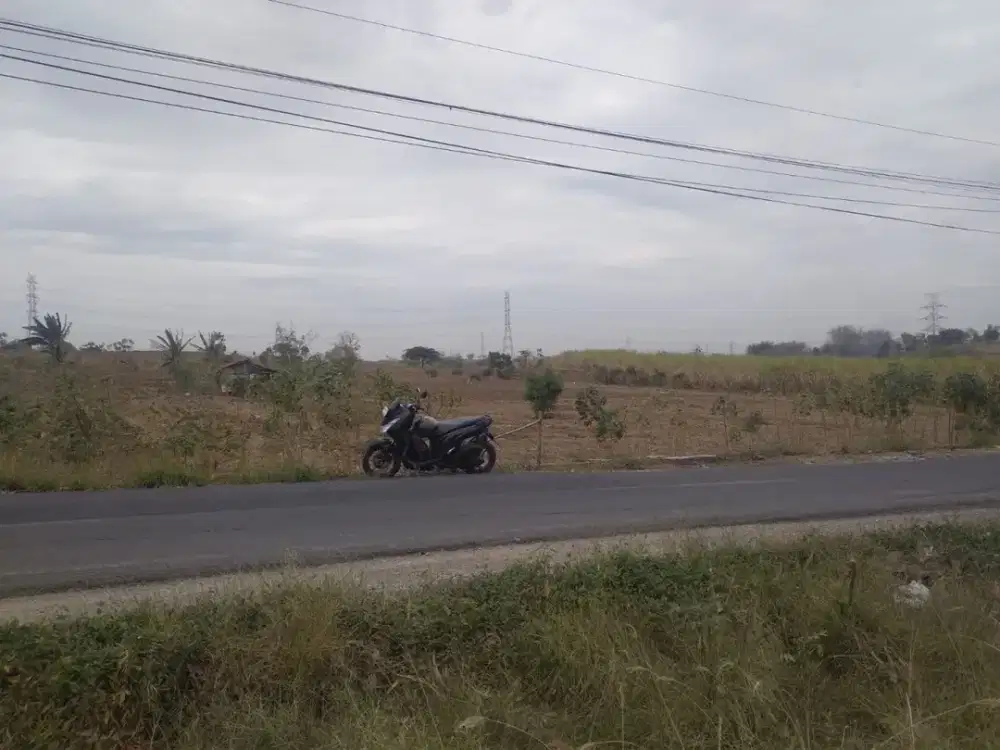 TANAH RAYA MOJOSARI REJO GRESIK (DR571)