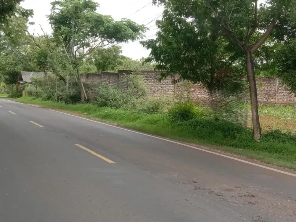 TANAH RAYA SARONGGI SUMENEP JAWA TIMUR (SG541)