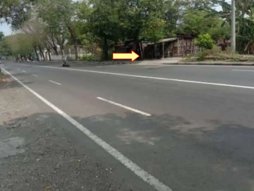 TANAH RAYA PEMUDA MOJOSARI MOJOKERTO (MS141)