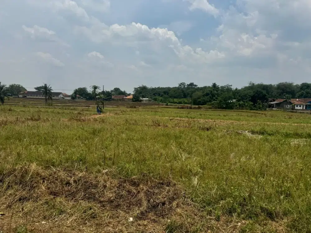 TANAH KEDUNG ASEM SRIKAMULYAN KARAWANG (TJ223)