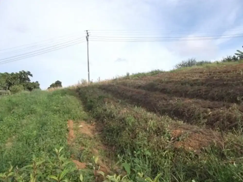 TANAH KEBUN RAYA CIDADAP KARANGNUNGGAL TASIKMALAYA (KN55)