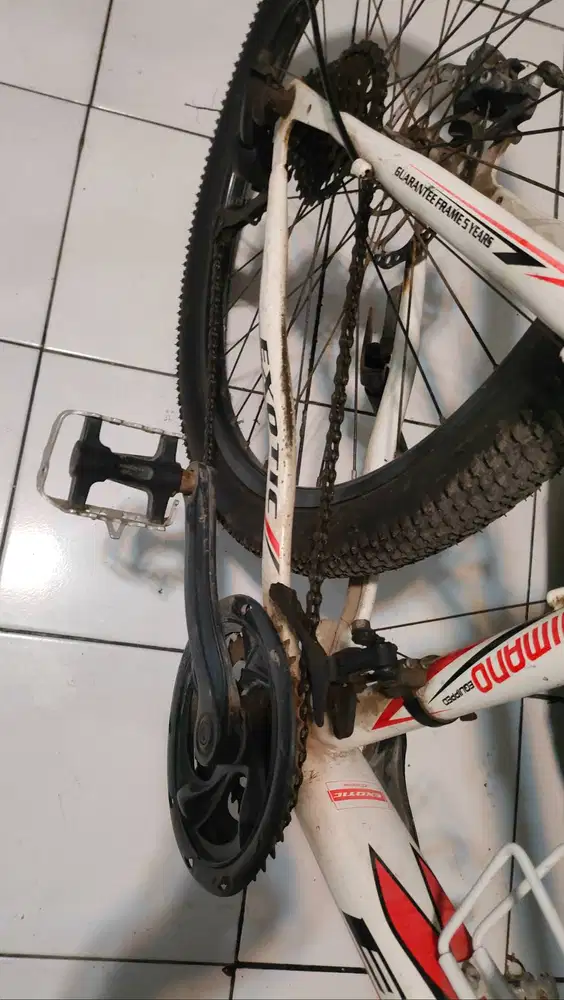 Sepeda exotic 7 speed