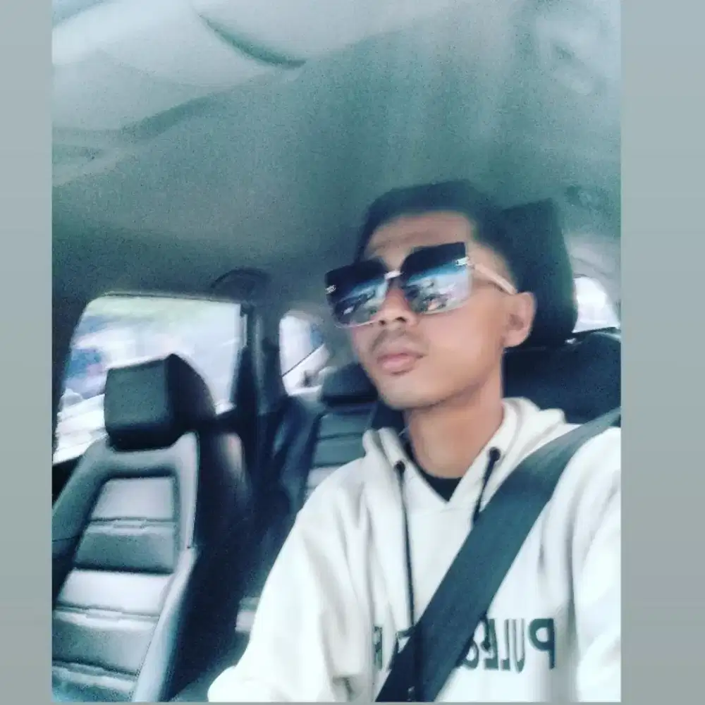 Driver supir pribadi