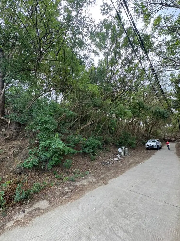 Disewakan/ for rent tanah dekat jalan raya kuta mandalika lombok