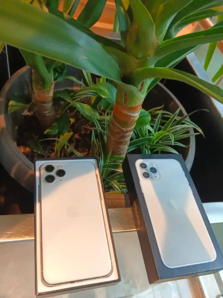 Iphone 11 pro 256gb come apple