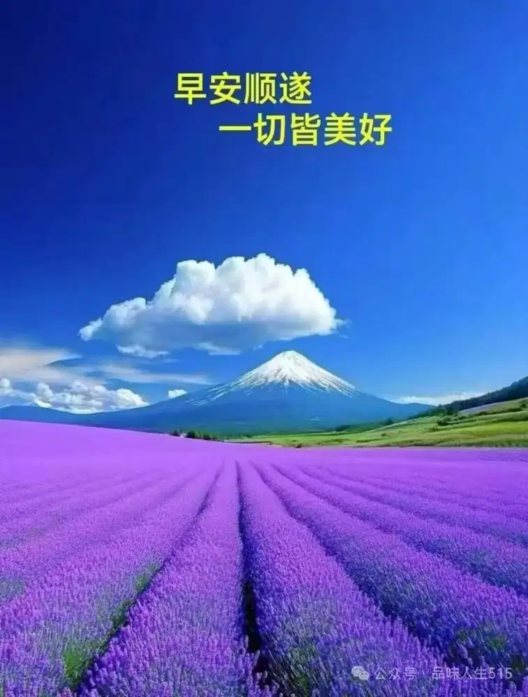 Operation Handling Cargo Bandara