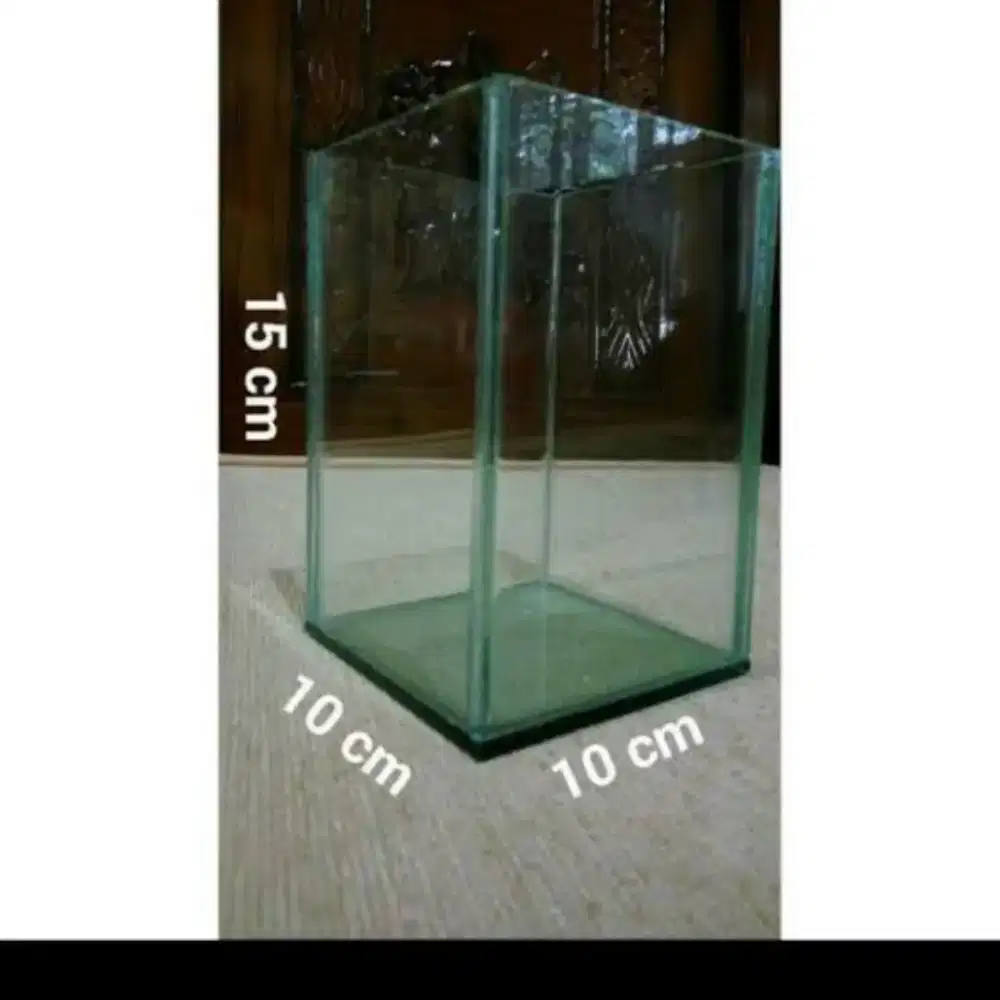 Soliter Kaca Ikan Cupang