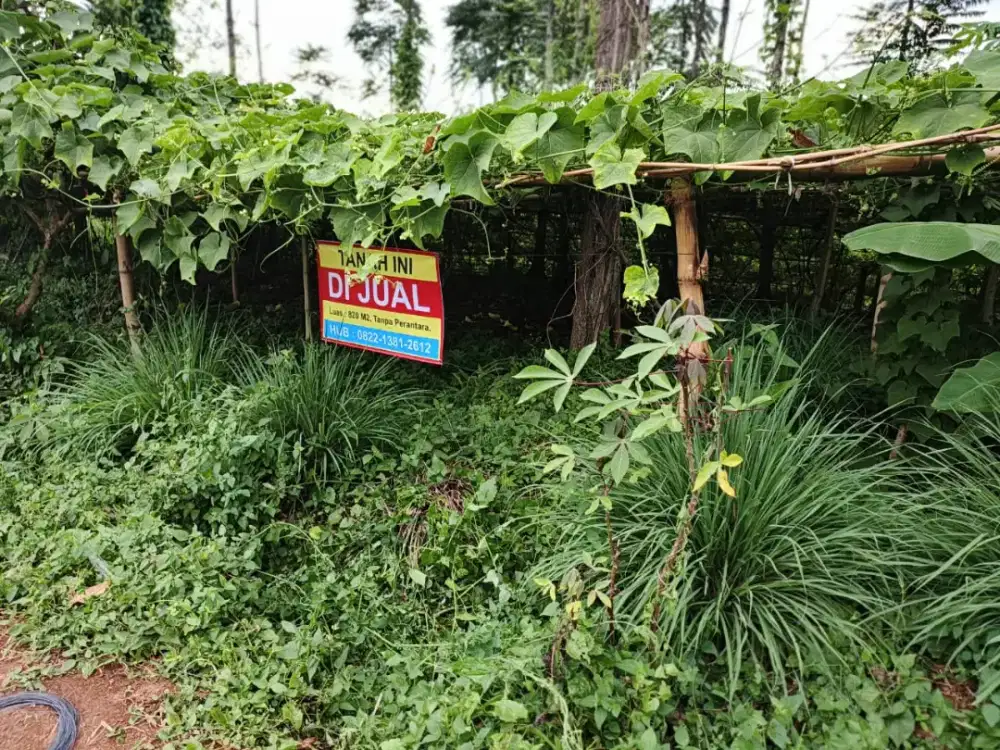 Dijual Tanah Kebun 820 m2 Cipanjalu Pasirluhur