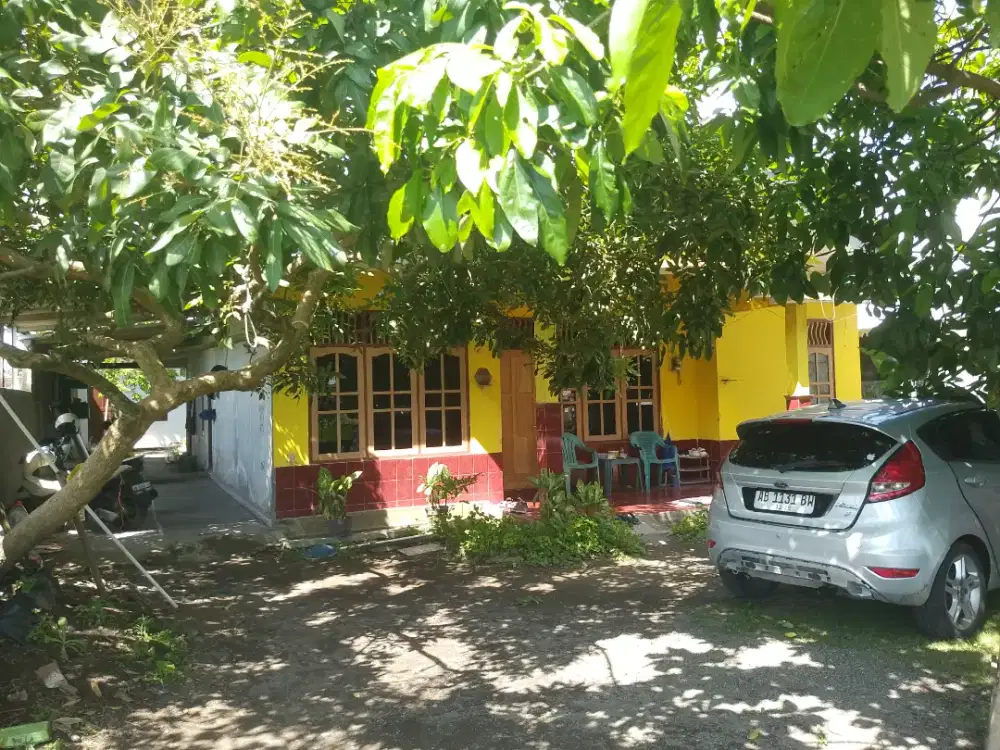 Rumah & kost 12 kamar jogja