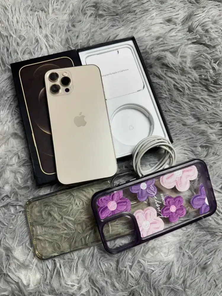 Iphone 12 Promax gold 128GB
Resmi ibox