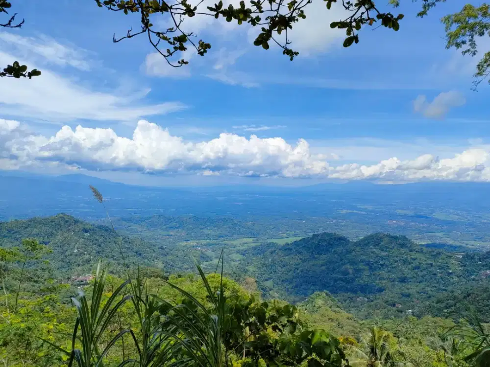 Dijual tanah view 6 gunung dan candi borobudur di samigaluh kulonprogo