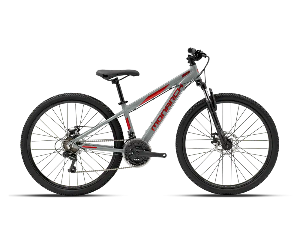 POLYGON MONARCH 260S