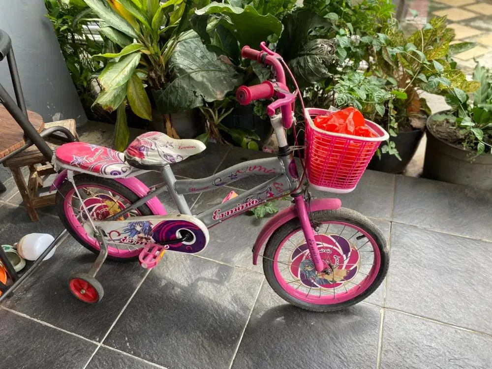 Sepedah anak perempuan .
