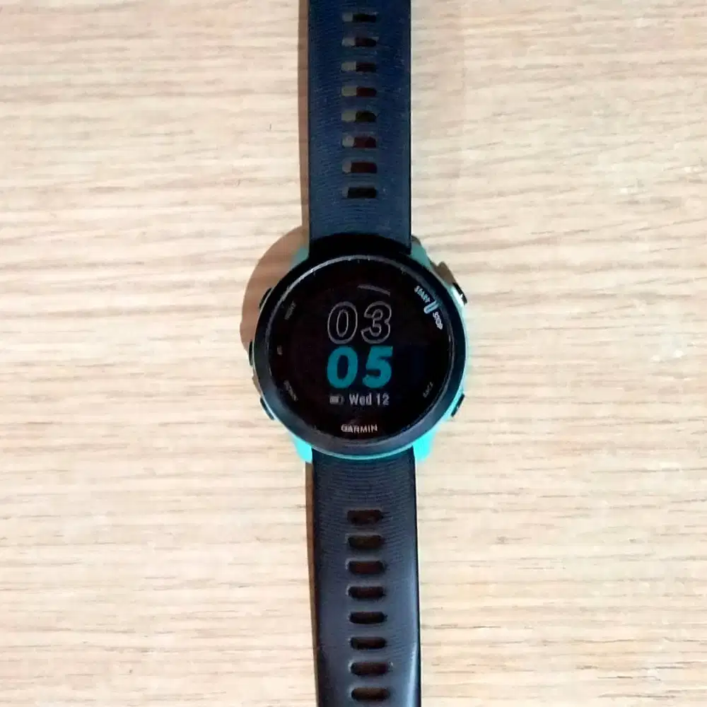 Jam Garmin Forerunner 55 Original