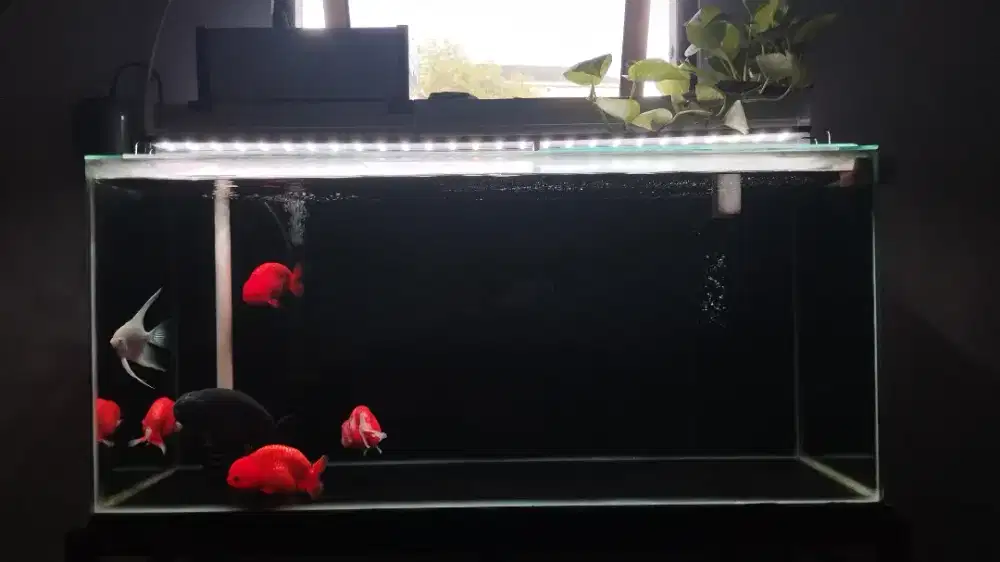 1 Set Aquarium 100x40x45