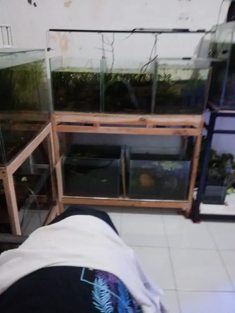 Aquarium + meja dan lampu