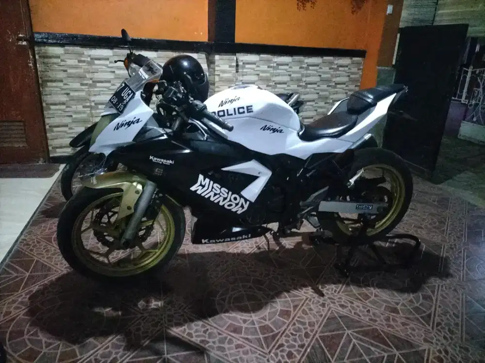 Kawasaki ninja 250R mono
